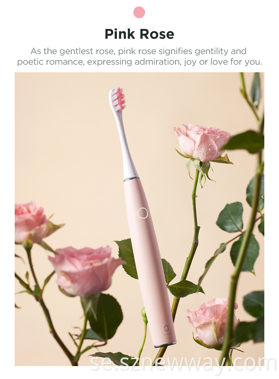 Smart Electric Toothbrush